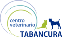 Centro Veterinario Tabancura