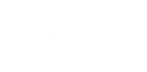 Diesel Berrocal