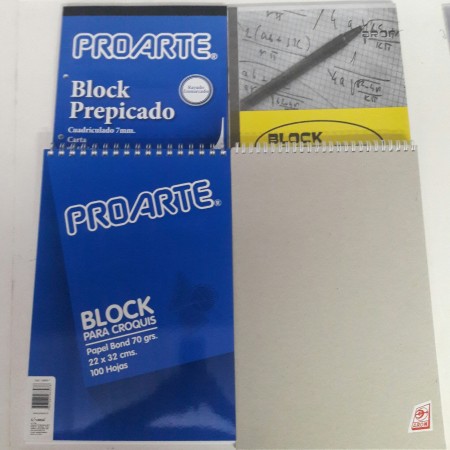 croqueras y block prepicados