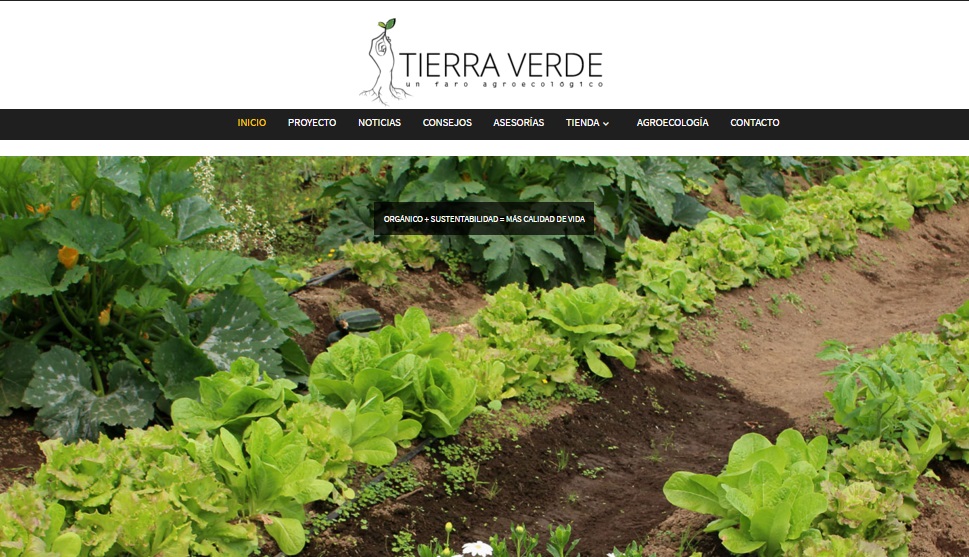 TIERRA VERDE