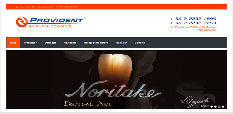 PROVIDENT DENTAL